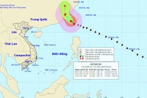 Thông tin mới nhất về cơn bão NEPARTAK giật cấp 15