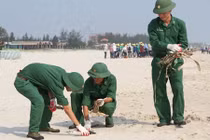 Thủ tướng yêu cầu xử lý khu công nghiệp gây ô nhiễm biển