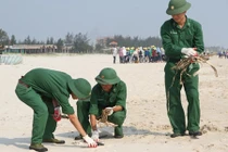 Thủ tướng yêu cầu xử lý khu công nghiệp gây ô nhiễm biển