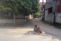 Vĩnh Phúc: Hòn đá thiêng nghìn năm không ai dám động tới