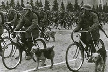 Top 7 vũ khí gây kinh ngạc trong lịch sử 