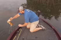 Kỳ lạ đi câu cá lại vớ được mèo giữa sông