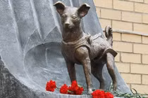 4 con vật lừng danh trong lịch sử loài người