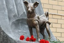 4 con vật lừng danh trong lịch sử loài người