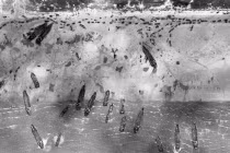 Ảnh chụp trên cao: Quân đồng minh đổ bộ bãi biển Normandy 