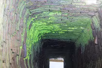 Kỳ bí giếng cổ ngàn năm không cạn trong lòng Hội An 