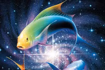 Đoán vận mệnh 12 chòm sao trong tháng 1/2014 (2) 