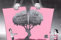 Rắc rối vụ vườn cây ăn trái của hai ông và một bà