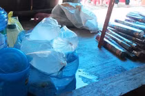 Cả nhà tang thương vì rượu