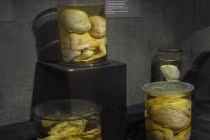 Bên trong 10 bảo tàng kỳ dị bậc nhất thế giới 