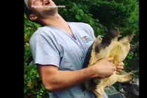 Video: Hôn rùa, chàng trai bị cắn suýt đứt môi