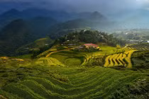 Ruộng bậc thang Việt Nam tuyệt đẹp trên National Geographic 