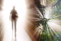 Chấn động: Linh hồn “dịch chuyển” đến sa mạc trong phút cận tử? 