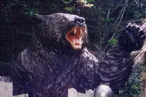 Ám ảnh gấu quỷ ăn... thịt người