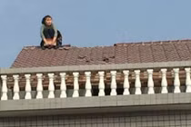 Cãi nhau với chồng, vợ leo lên mái nhà dỡ ngói ném xuống