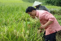 Bữa cơm đoàn kết mừng Tết Độc lập ở bản Khe Ván 