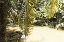 Không có tên trong di chúc, con trai nhẫn tâm giết mẹ