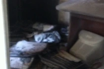 Chồng tẩm xăng đốt vợ cũ: Chồng chết, vợ nguy kịch