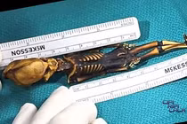 Những bộ hài cốt kỳ bí lạ lùng nhất lịch sử 