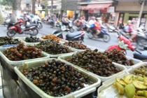 Chùm ảnh: Tiệm ô mai xào trứ danh phố Hàng Cót