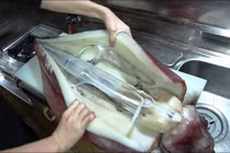 Video: Đầu bếp sơ chế mực khổng lồ nặng 12 kg