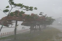 Bão “cập bến” Nam Trung bộ chiều nay