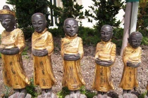 Dừng lại & buông xả