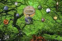 Bí ẩn muôn đời về loài cây linh thiêng chứa 9 thế giới