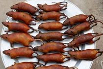 Báo Anh: Thịt chuột đồng VN là món ăn rẻ nhất TG