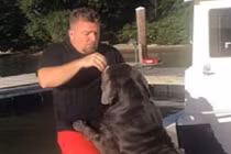 Chó khổng lồ “ngứa mắt” đẩy chủ xuống hồ bơi 