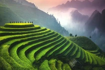 Ruộng bậc thang Việt Nam lọt Top điểm nên đến một lần trong đời 