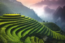 Ruộng bậc thang Việt Nam lọt Top điểm nên đến một lần trong đời 