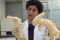 Giải mã quy trình ướp xác động vật của người Ai Cập