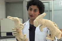 Giải mã quy trình ướp xác động vật của người Ai Cập