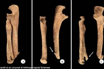 Bí mật thú vị về chiến binh Italy thời Trung cổ 