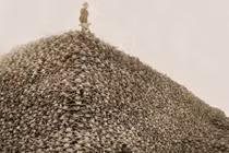 Top ảnh lịch sử khiến nhân loại nghẹn lòng khi xem 