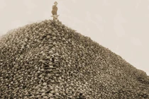 Top ảnh lịch sử khiến nhân loại nghẹn lòng khi xem 