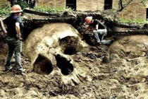 Bằng chứng về những người khổng lồ từng sống trên trái đất