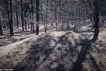 Phát hiện ngôi mộ tập thể của cướp biển lớn nhất nước Mỹ