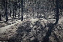 Phát hiện ngôi mộ tập thể của cướp biển lớn nhất nước Mỹ