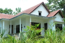 Cảnh đáng sợ cỏ dại phủ kín hàng loạt biệt thự bỏ hoang ở Kon Tum