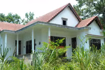 Cảnh đáng sợ cỏ dại phủ kín hàng loạt biệt thự bỏ hoang ở Kon Tum