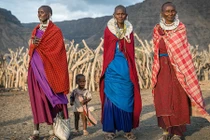 Quái đản tập tục ăn thịt khỉ của bộ lạc ở Tanzania