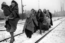 Quặn lòng hình ảnh người tị nạn ở châu Âu thời CTTG 2