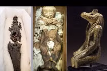 Tận mục xác ướp nửa người nửa cá sấu dị hình nhất TG 