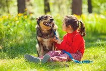 Lý giải thú vị: Vì sao chó có thể hiểu được tiếng người? 