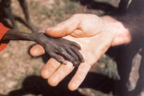 Ảnh đắt giá: Những khoảnh khắc khó quên của loài người 