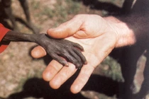 Ảnh đắt giá: Những khoảnh khắc khó quên của loài người 