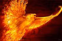 Vì sao người xưa cực sùng bái chim phượng hoàng? 