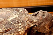 Top những điều hãi hùng con người làm với tử thi